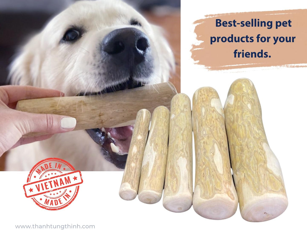 THATUWOOD chien mastication en action, favorise un jeu interactif et sain.