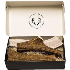 THE ANTLER BOX – cornes d'élan coupées, portions adaptées pour chiens actifs.