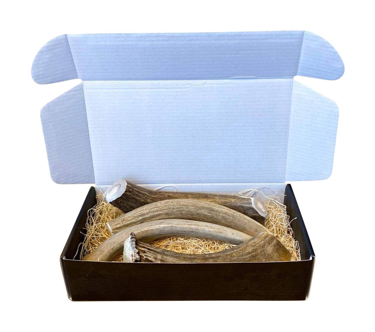 THE ANTLER BOX – dents et gencives saines pour chiens.
