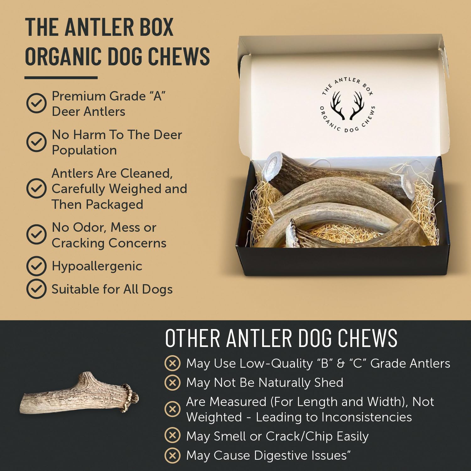 THE ANTLER BOX – friandise qui ne tâche pas tapis et meubles.