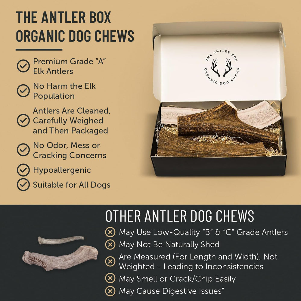 THE ANTLER BOX – hygiène dentaire naturelle, friandise propre et sans dégâts.
