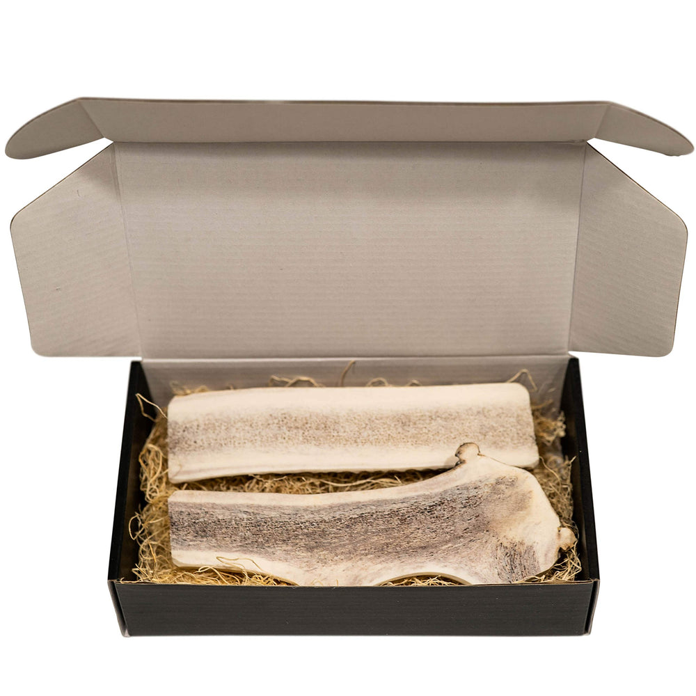 The Antler Box morceaux fissurés de corne d'élan, faciles à partager pendant le jeu.