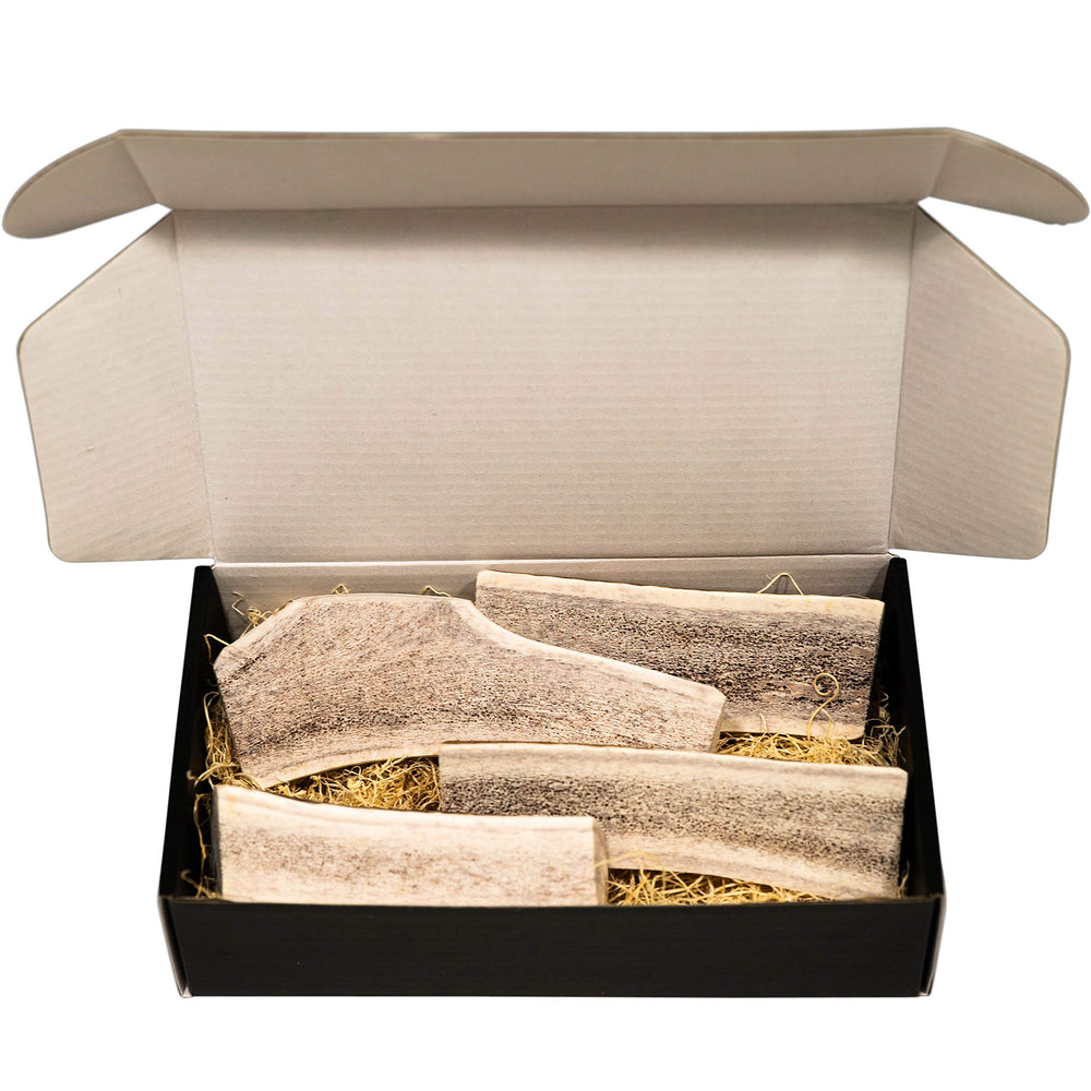 quatre morceaux divisés THE ANTLER BOX Premium Elk Antler Dog Chews, portions faciles.