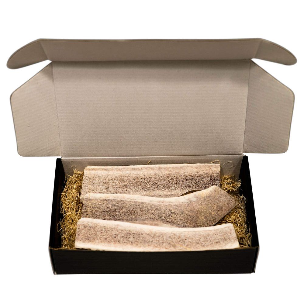 The Antler Box met en valeur trois morceaux gros corne de elan pour sessions prolongées.