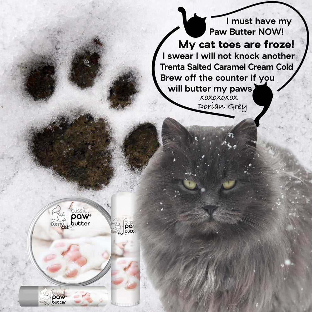The Blissful Cat Paw Butter – application facile sur le coussinet du chat.