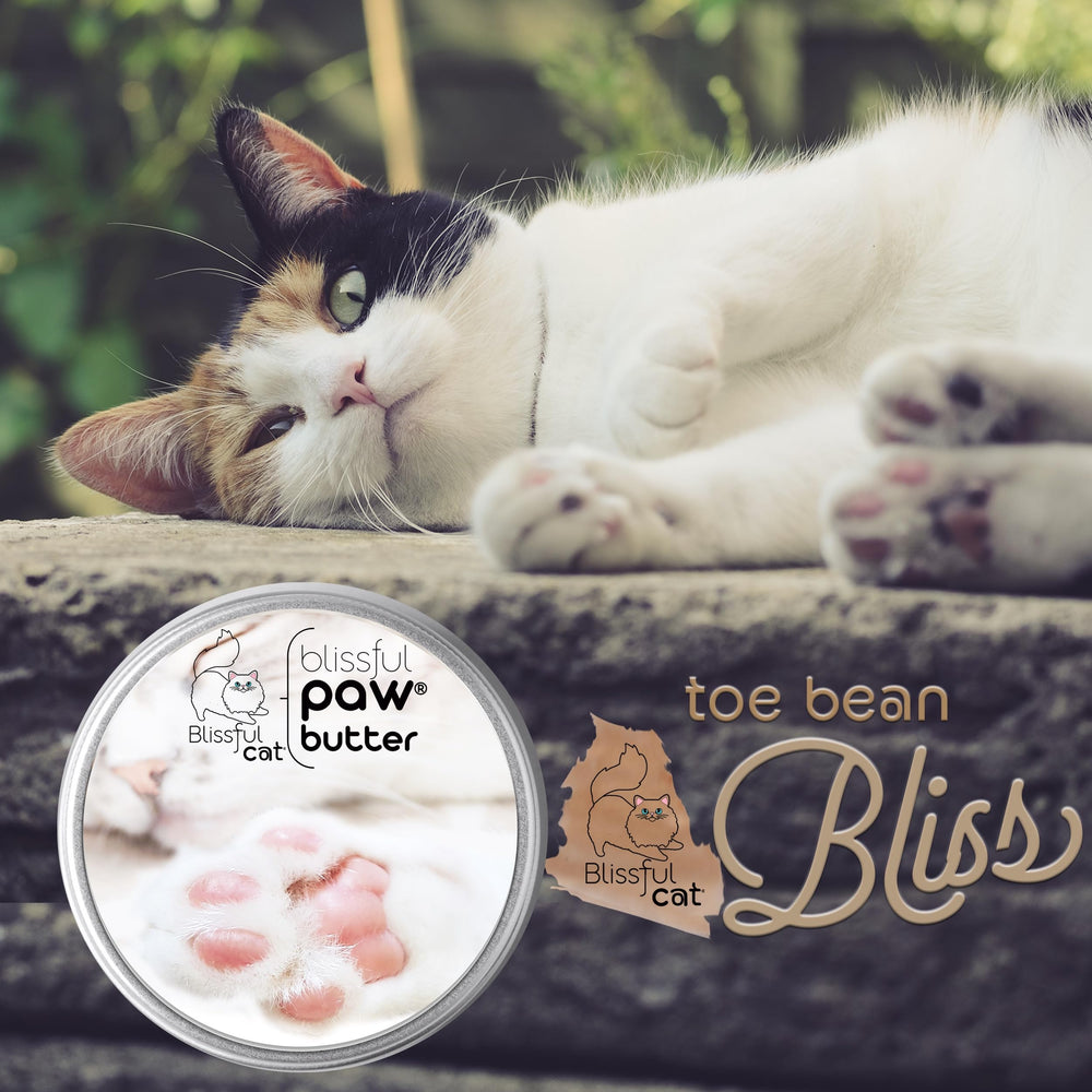 The Blissful Cat Paw Butter – pot pratique de 2 oz pour un usage à domicile.