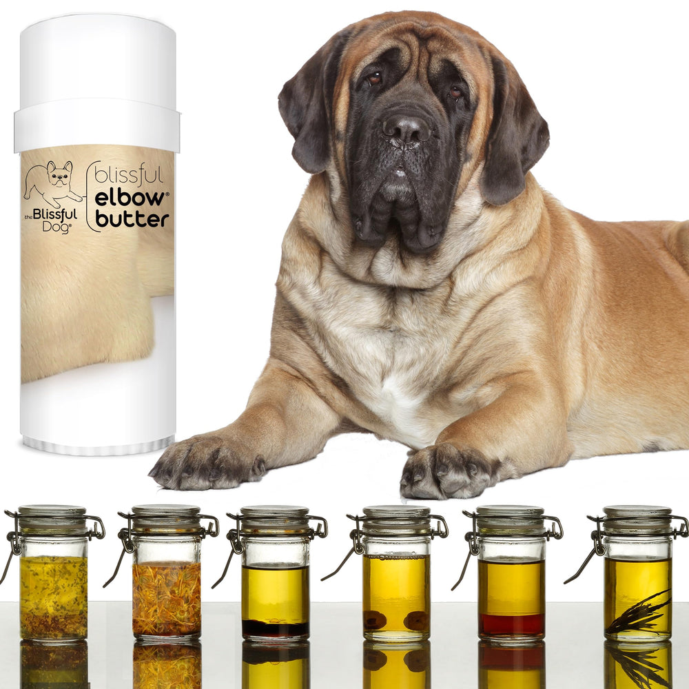 The Blissful Dog baume-coude-application-rapide : absorption rapide sans fini gras.