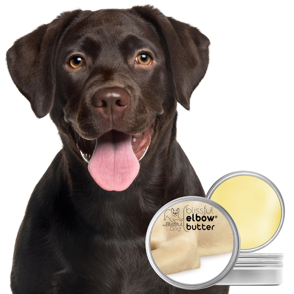 The Blissful Dog Beurre-Coude Stick 1oz: application précise et pratique en déplacement.