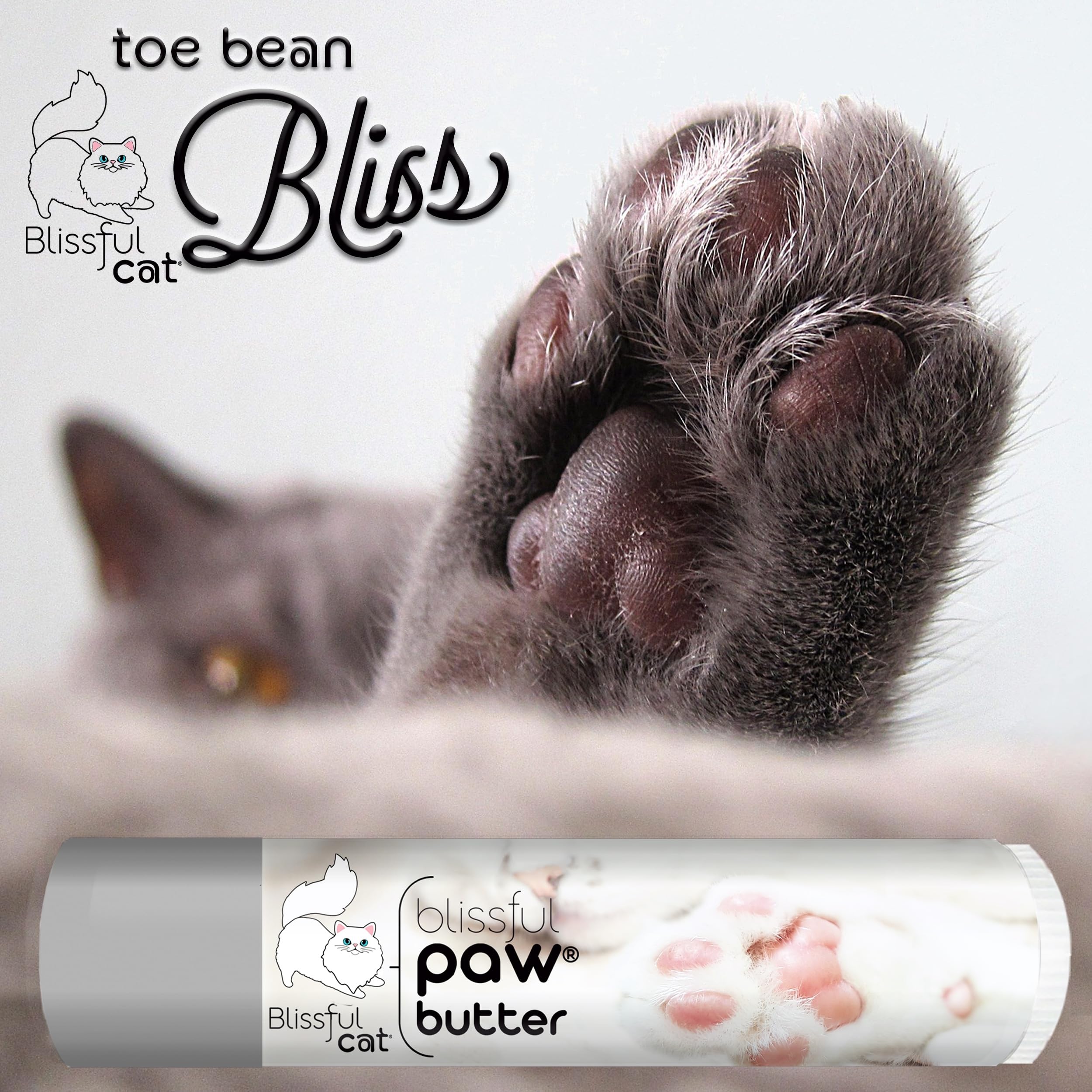 Application simple du beurre-pattes-chat The Blissful Dog sur les pattes.