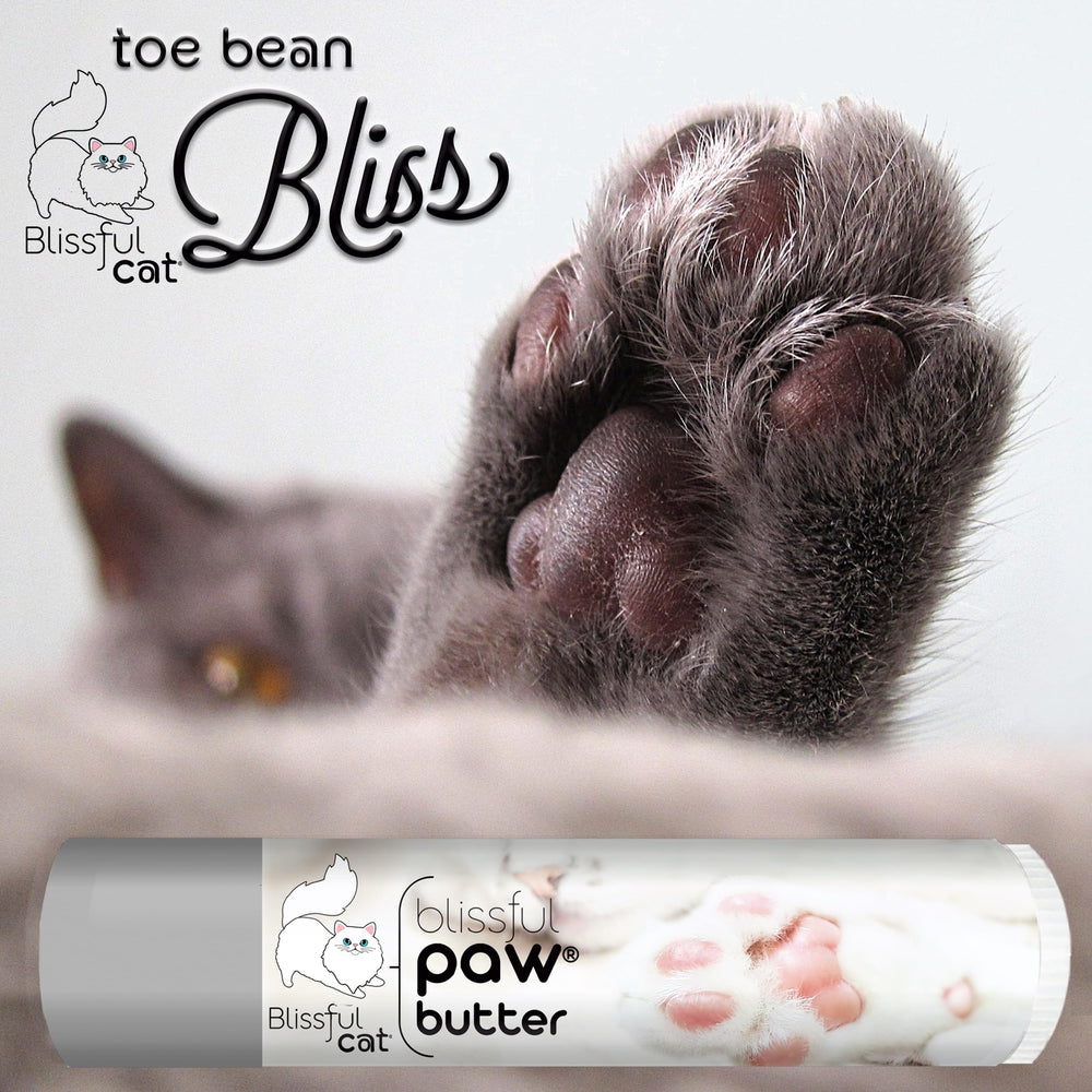 Application simple du beurre-pattes-chat The Blissful Dog sur les pattes.