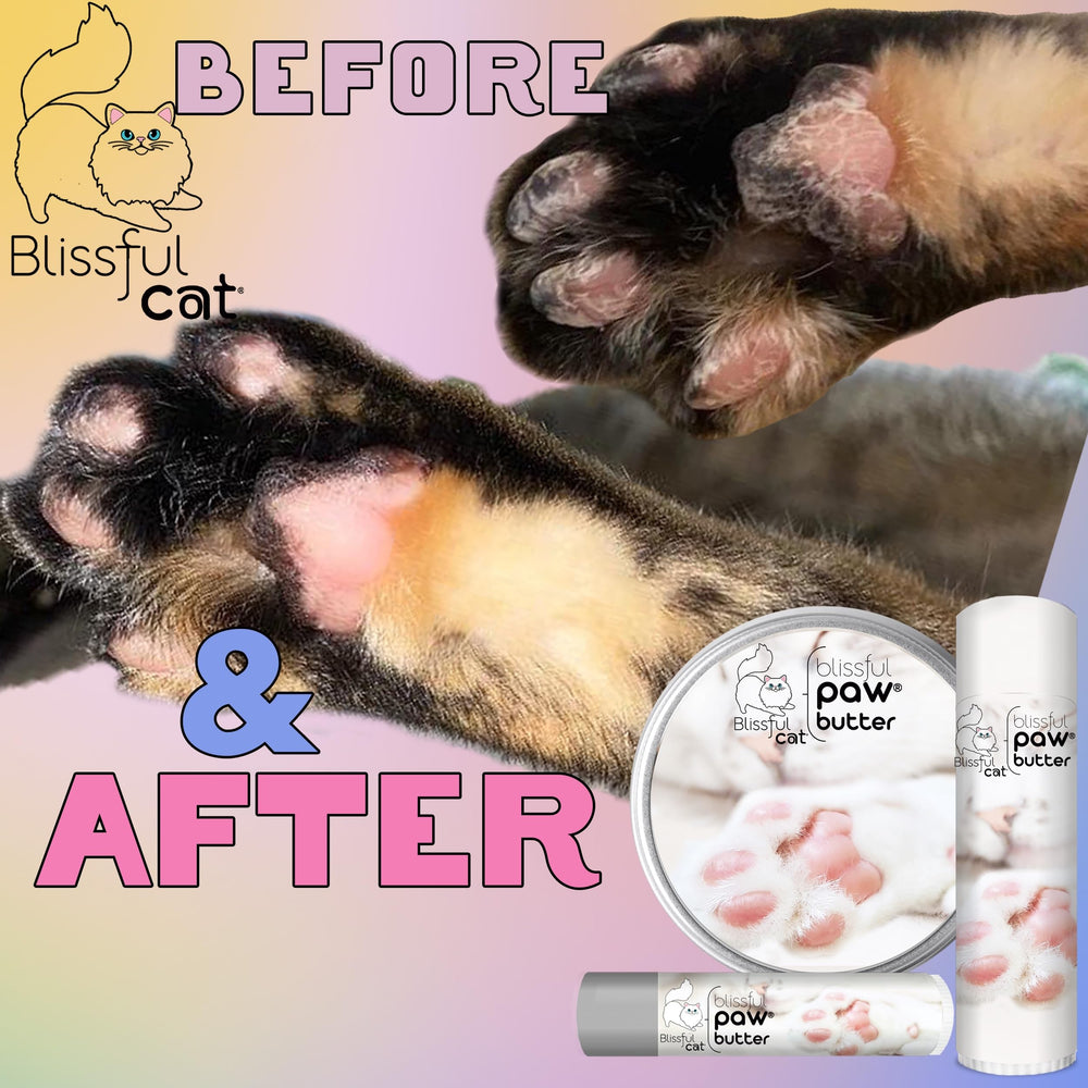 Différentes-tailles The Blissful Dog, disponibles pour s’adapter.