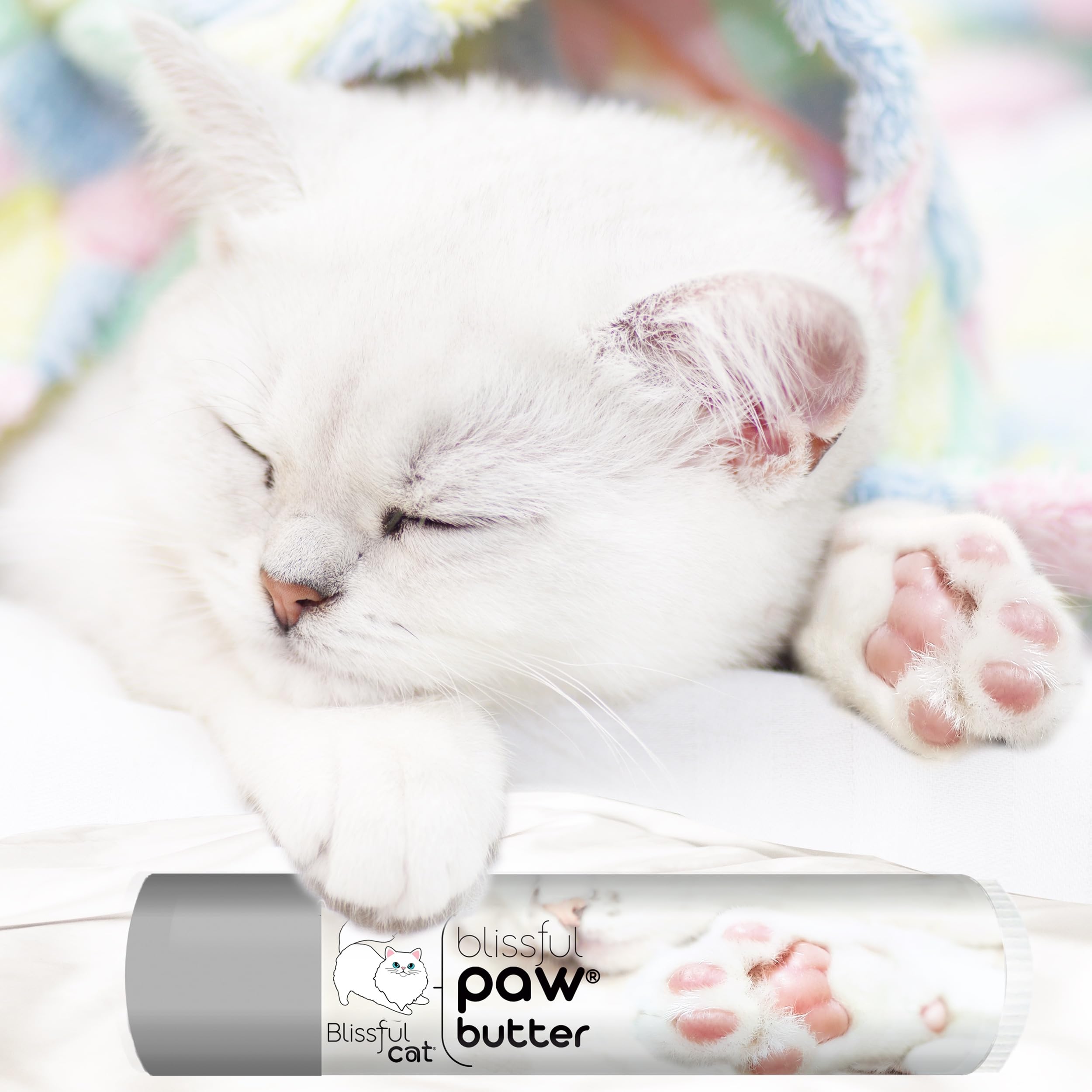Utilisation quotidienne The Blissful Dog, pratique dans la routine de soin.