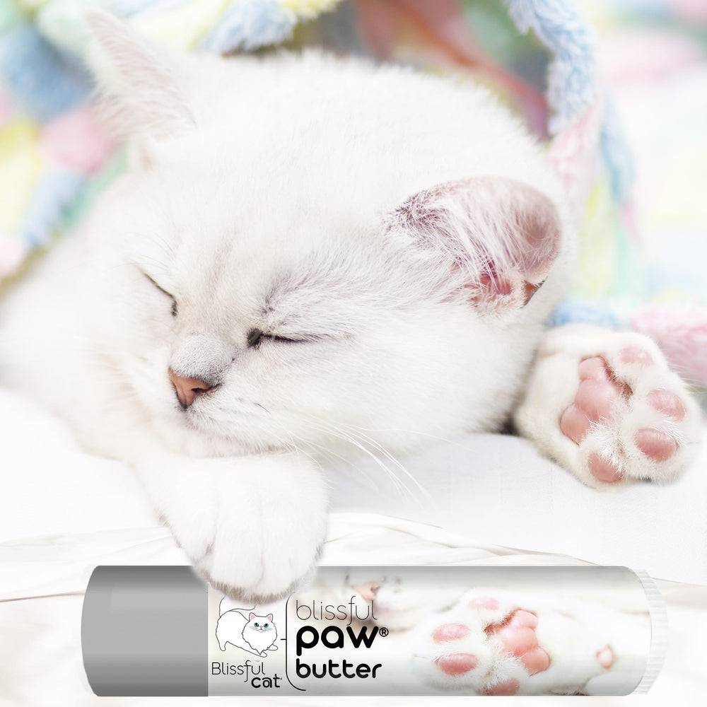Utilisation quotidienne The Blissful Dog, pratique dans la routine de soin.