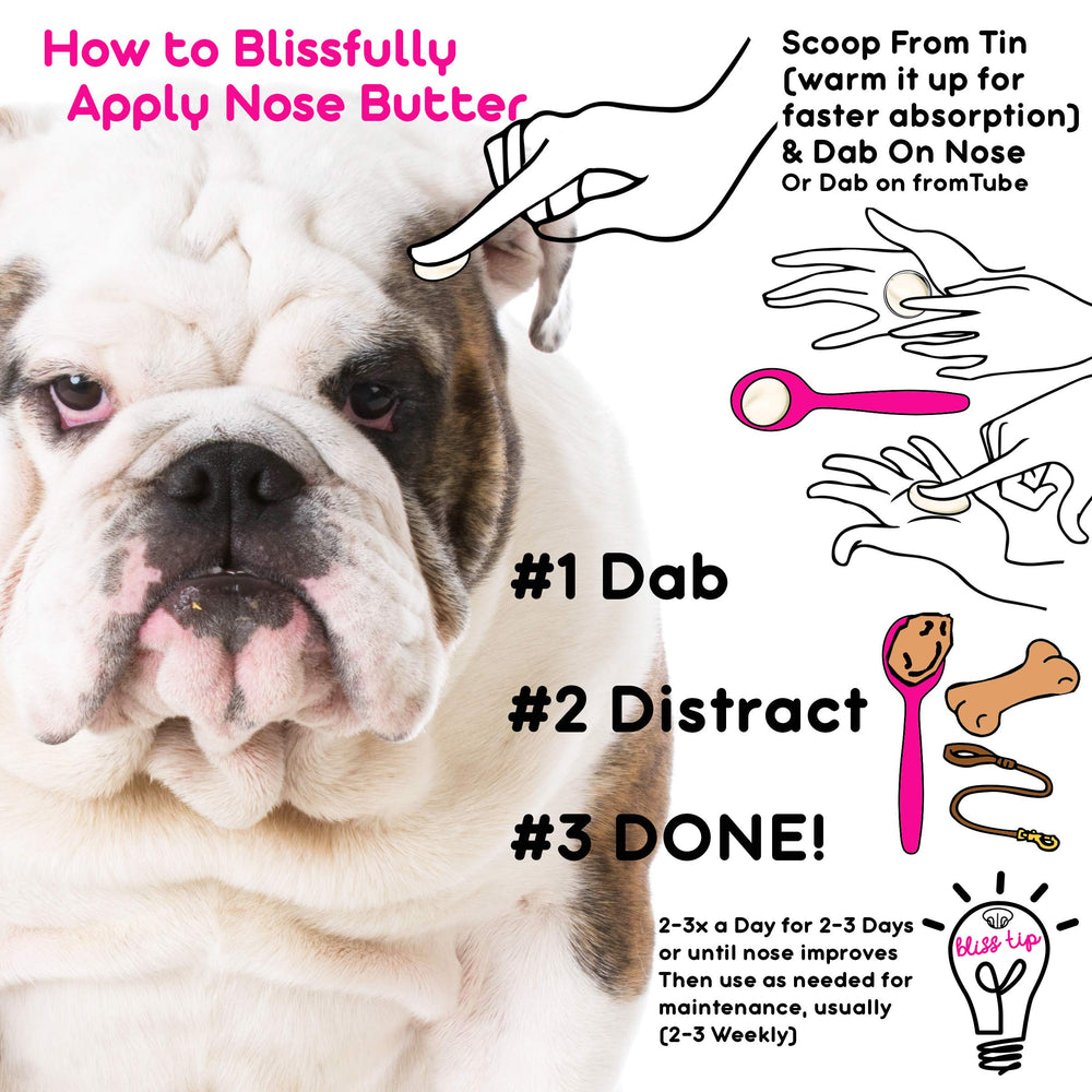 The Blissful Dog tube-nez-chien : format pratique pour des retouches ciblées.