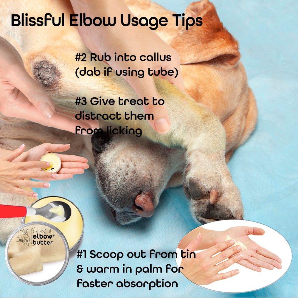 Utilisation en déplacement avec le pot The Blissful Dog pour le coude.