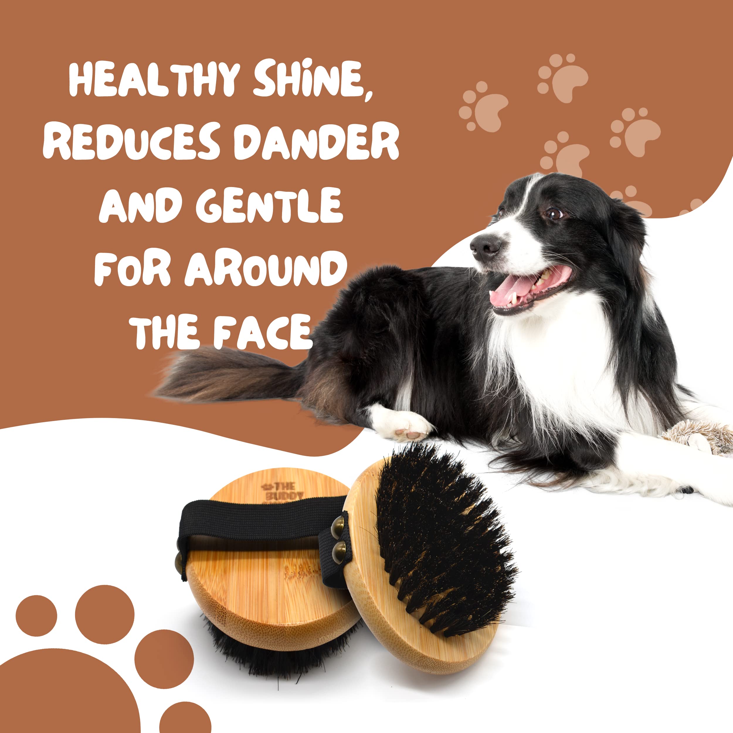 Brossage quotidien facile pour chiens et chats de tous pelages.