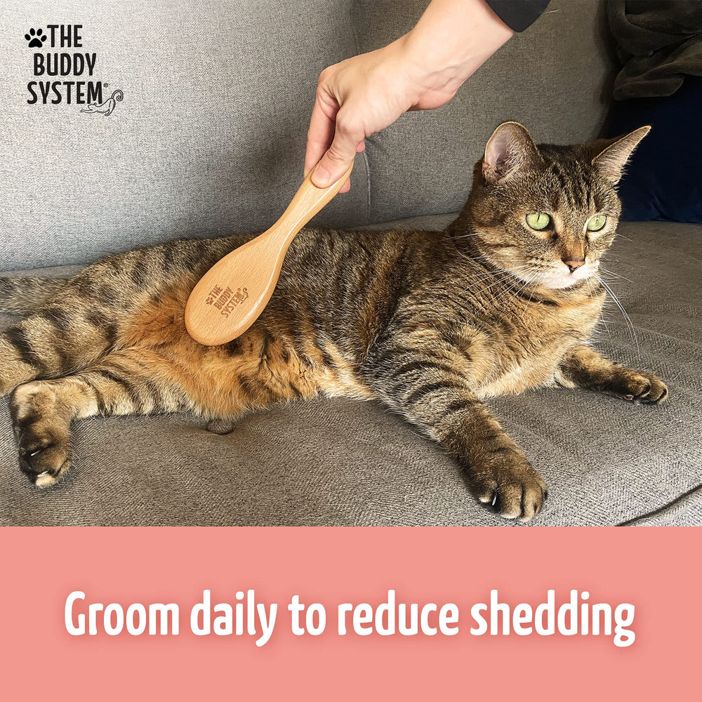 The Buddy System brosse chat – manche en bois ergonomique pour entretien quotidien.