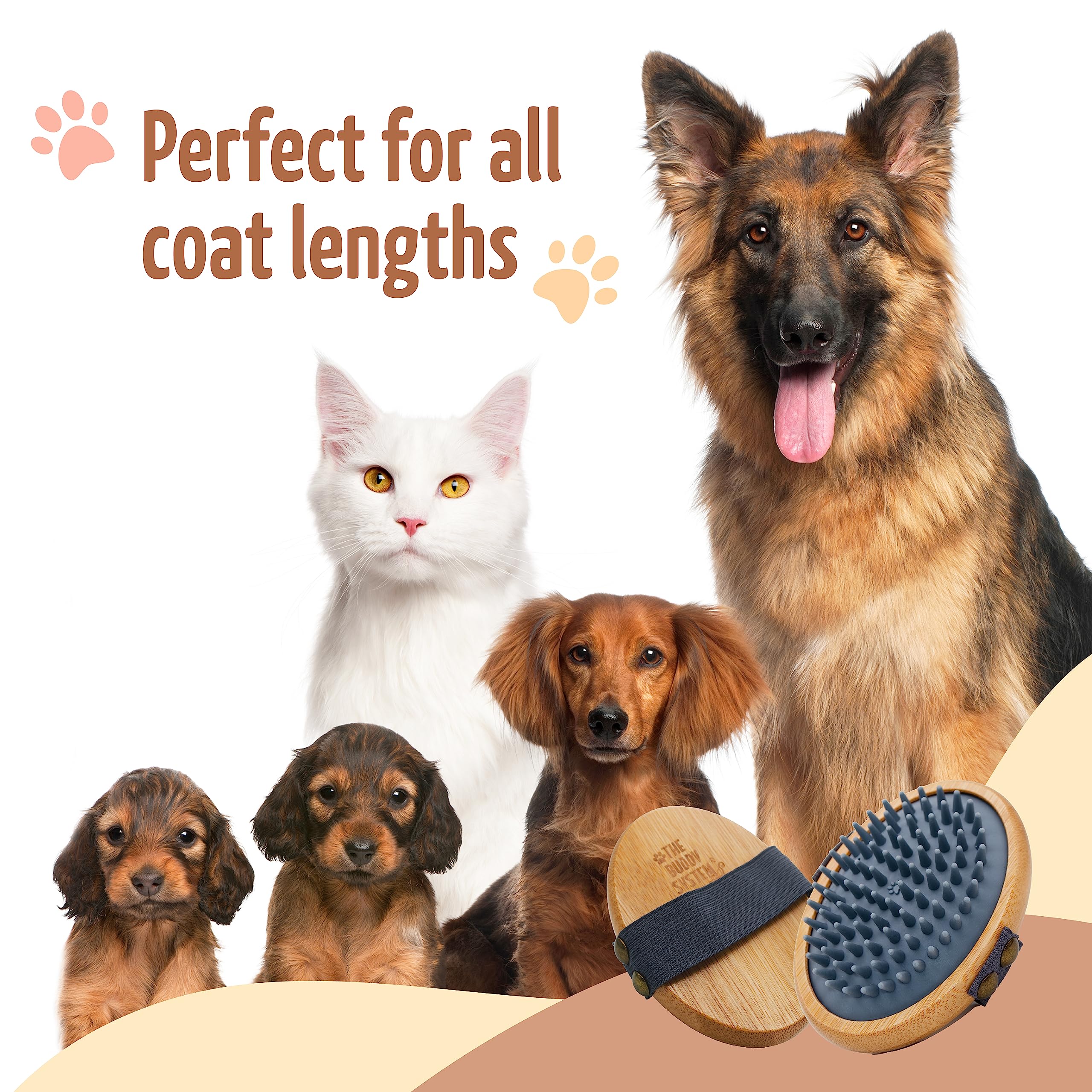 The Buddy System usage-quotidien-chien-chat : idéal pour le brossage quotidien des animaux.