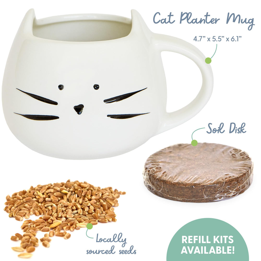 The Cat Ladies graines-bio, mélange d’herbes pour chat.