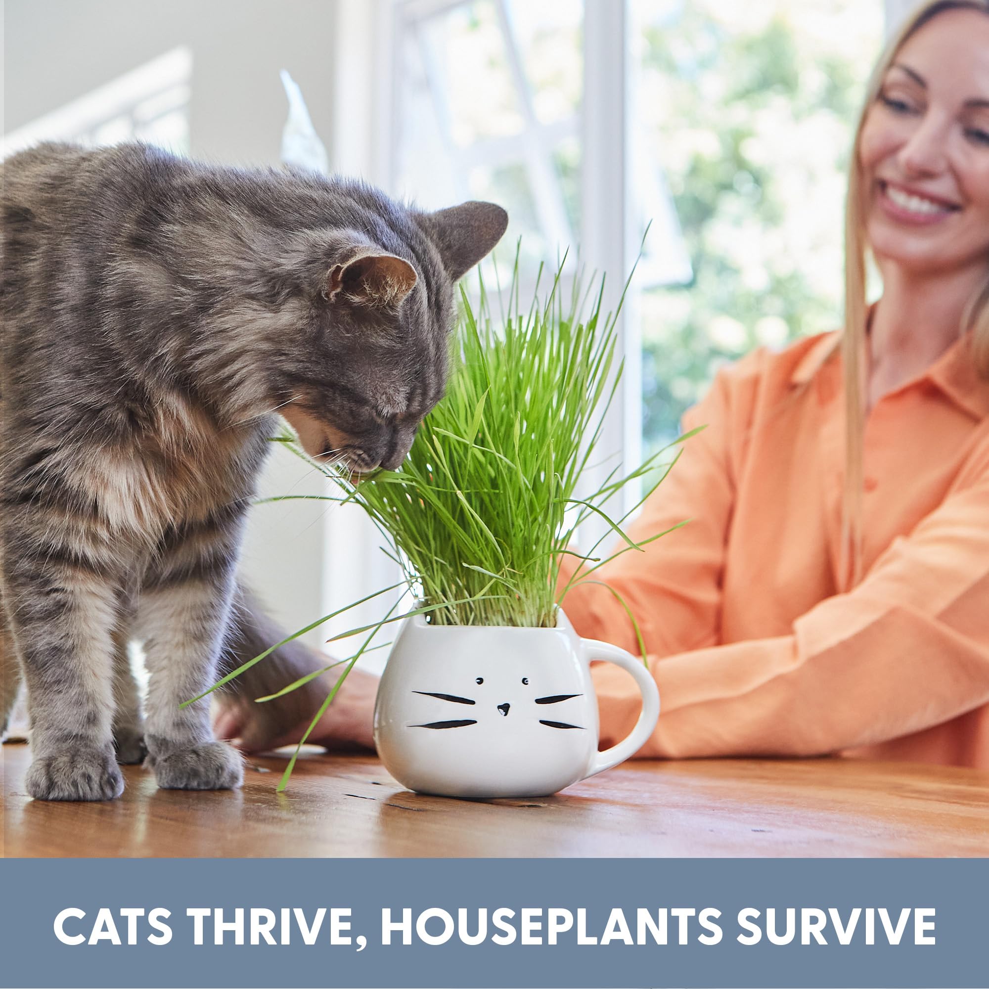 The Cat Ladies tasse-planter-chat-blanc, décor et accessoire fonctionnel.