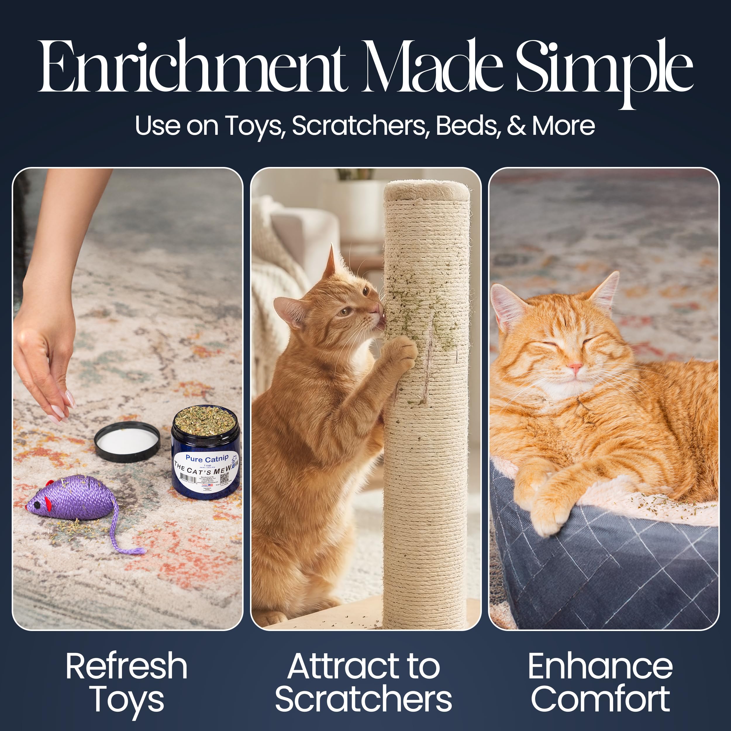The Cat's MeWow enrichissement quotidien à la maison pour chats d'intérieur.