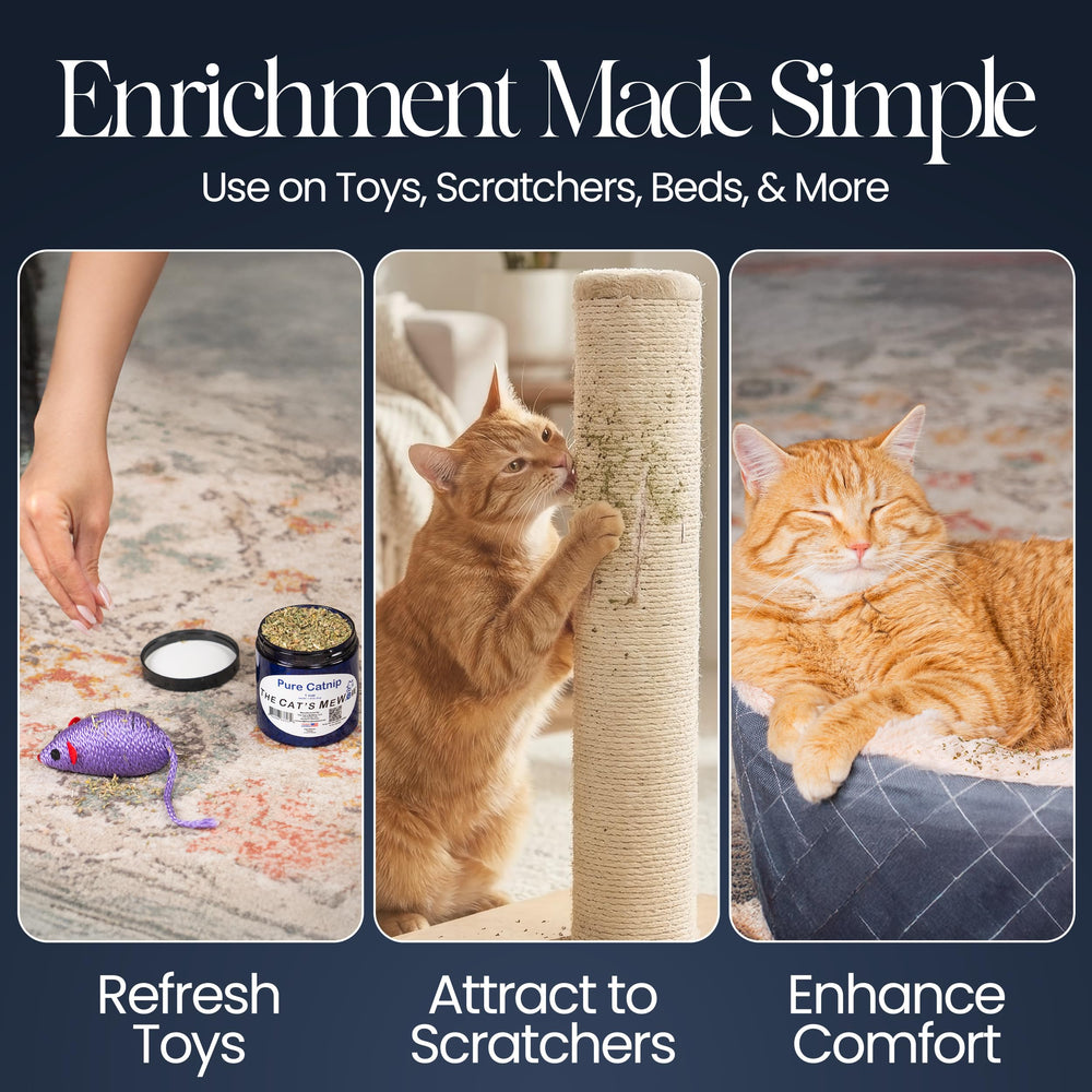 The Cat's MeWow enrichissement quotidien à la maison pour chats d'intérieur.