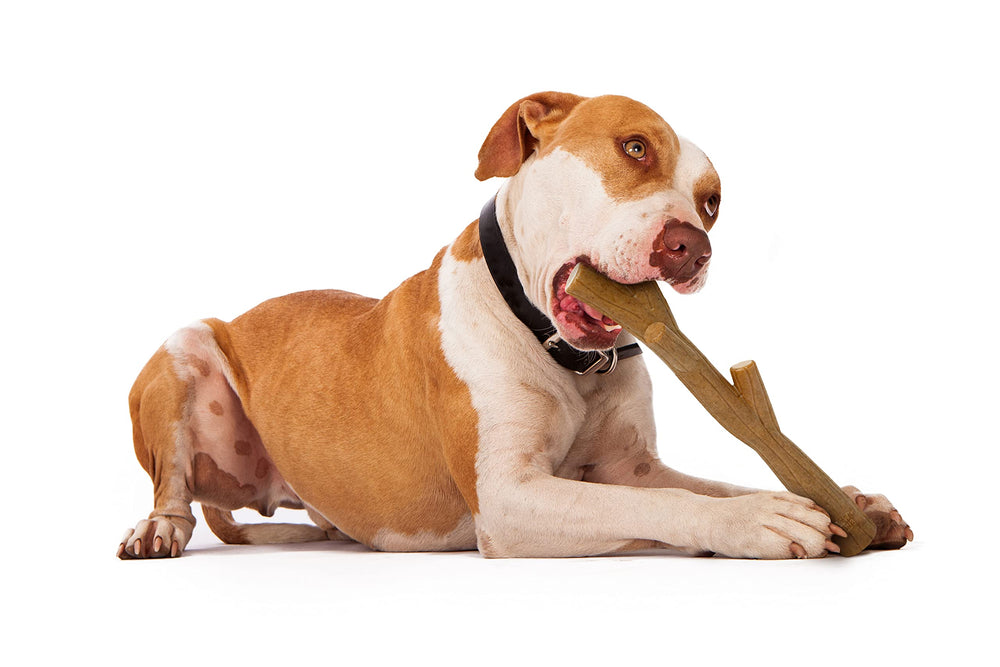 The Chew Club Power Bone, design unique, stimule la mastication et l'amusement.
