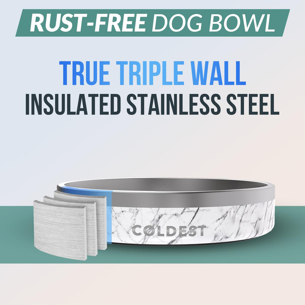 The Coldest Water, gamelle triple paroi pour chien, maintien de la température.