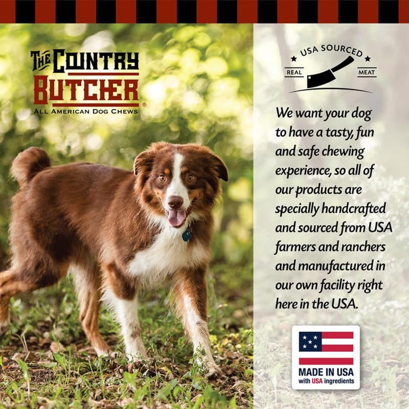 THE COUNTRY BUTCHER Giant Dog Bone chien occupé et heureux pendant la mastication.