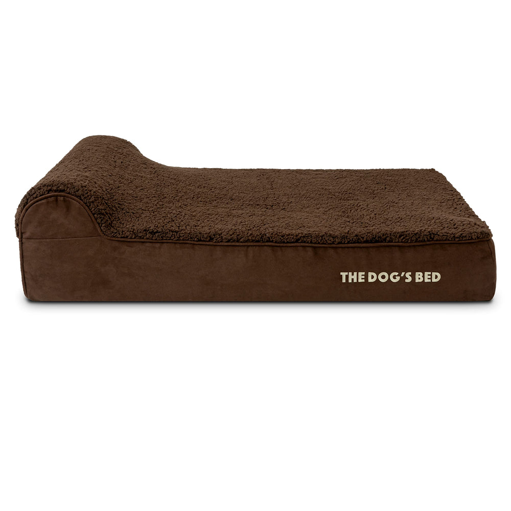 The Dog's Bed ambiance cosy dans le salon pour chien.