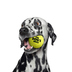 The Dog's Balls - Balle avec noyau en caoutchouc résistant, idéale pour reprises.