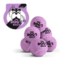 The Dog's Balls: balle de tennis violet pour petit chien, idéale pour le jeu.