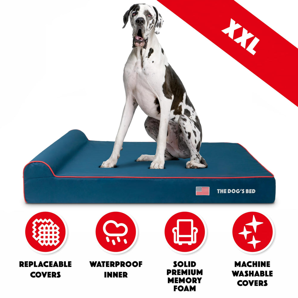 The Dog's Balls The Dog's Bed drapeau des États-Unis bleu et rouge.
