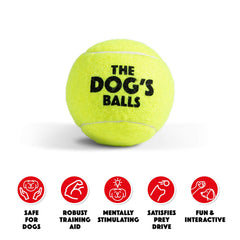 The Dog's Balls noyau caoutchouc durable, balle résistante pour sessions répétées