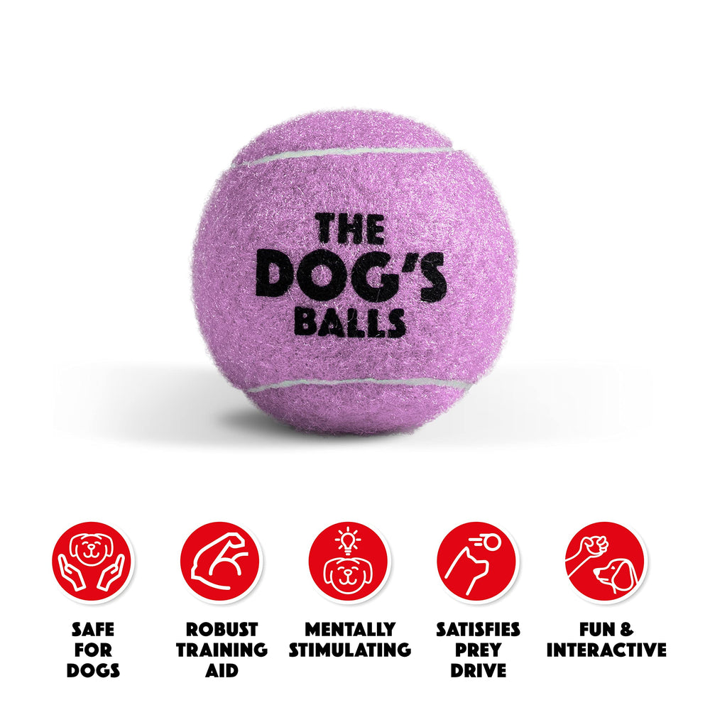 The Dog's Balls: balle de tennis violet avec cœur en caoutchouc robuste.