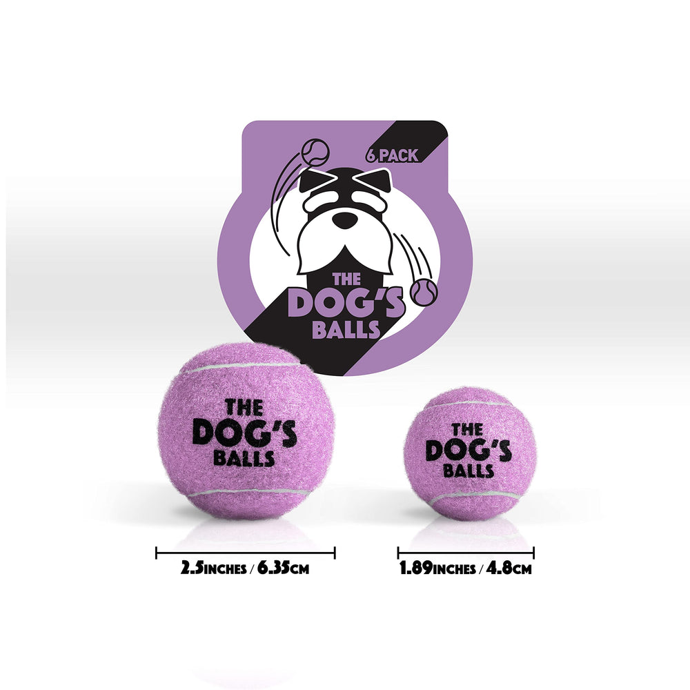 The Dog's Balls: couleur violet vif et haute visibilité au parc.