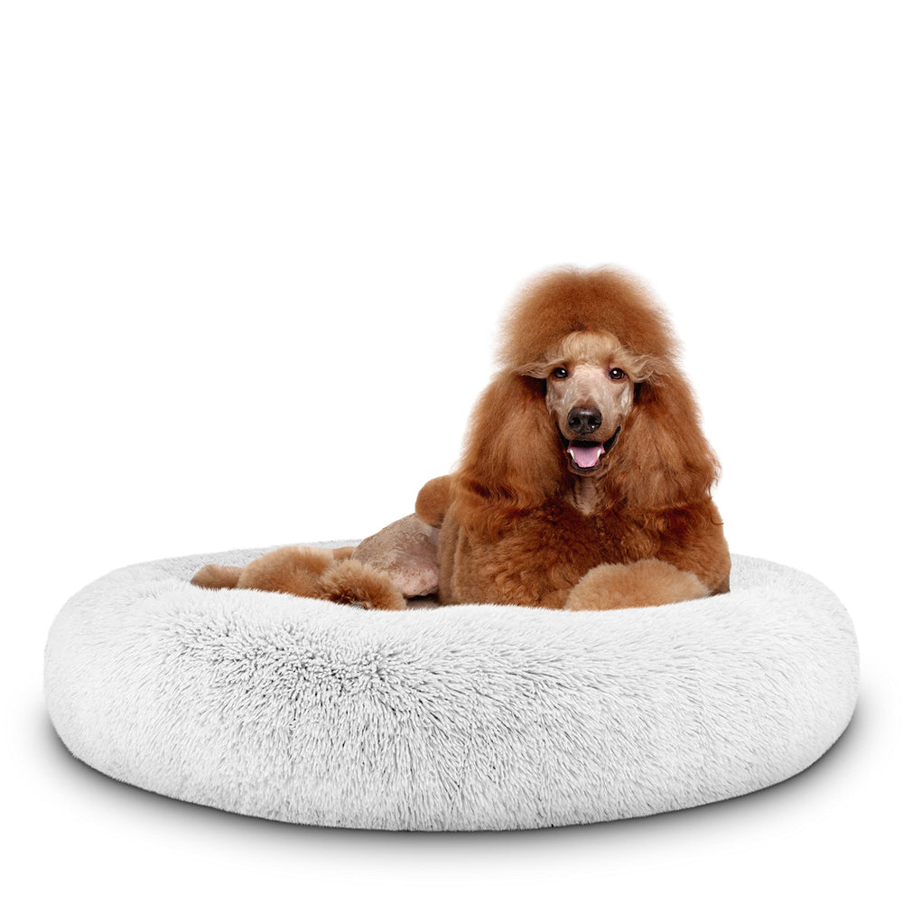 The Dog’s Balls Donut Bed — forme nid rond, soutien doux pour chien.