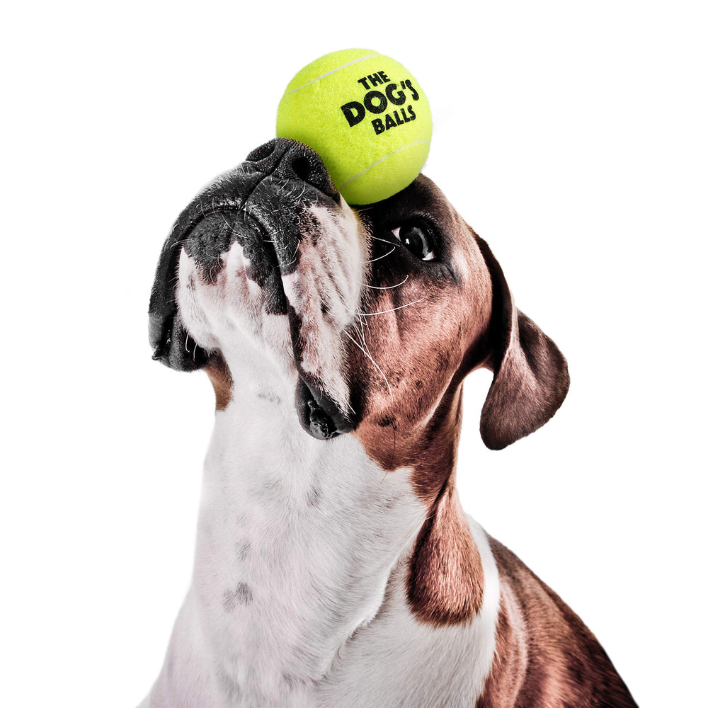 The Dog's Balls feutre non abrasif, douceur sur dents et gencives