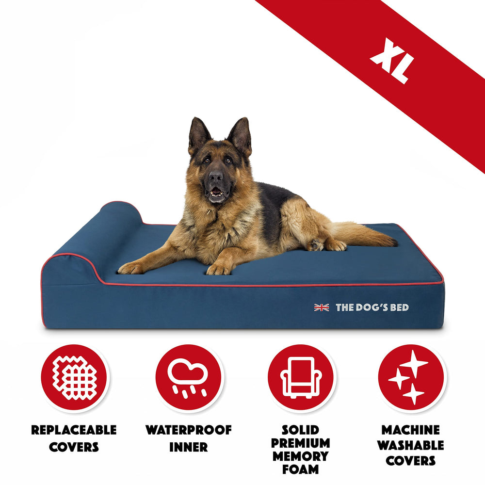 The Dog’s Balls grande taille adaptée aux chiens géants
