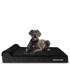 The Dog's Balls lit-orthopedique-memoire 6-pouces XXL, soutien adapté pour grands chiens.