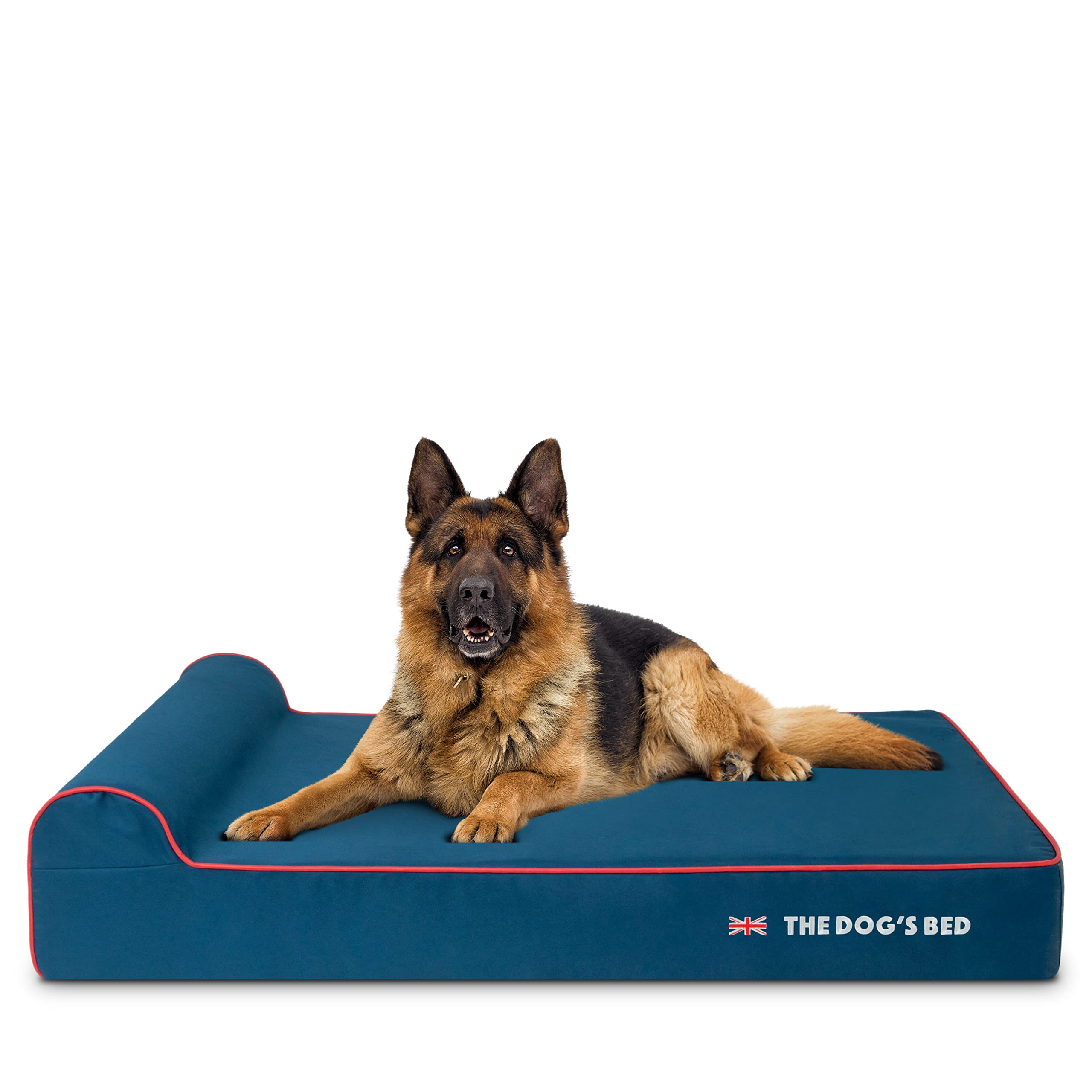 The Dog’s Balls lit orthopédique bleu avec bord rouge, soutien exceptionnel