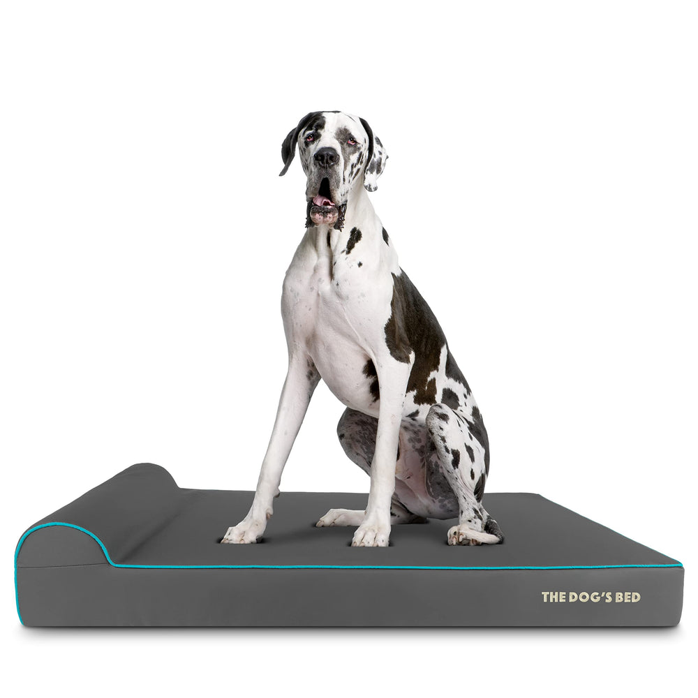 Le lit The Dog's Balls, oreiller orthopédique mémoire, pour grands chiens, confort durable.