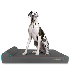 Le lit The Dog's Balls, oreiller orthopédique mémoire, pour grands chiens, confort durable.