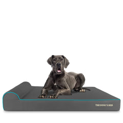 Des images du design oxford gris avec bord bleu du lit The Dog's Balls.