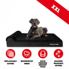 The Dog's Balls support-tete-integre, confort cible pour chien.