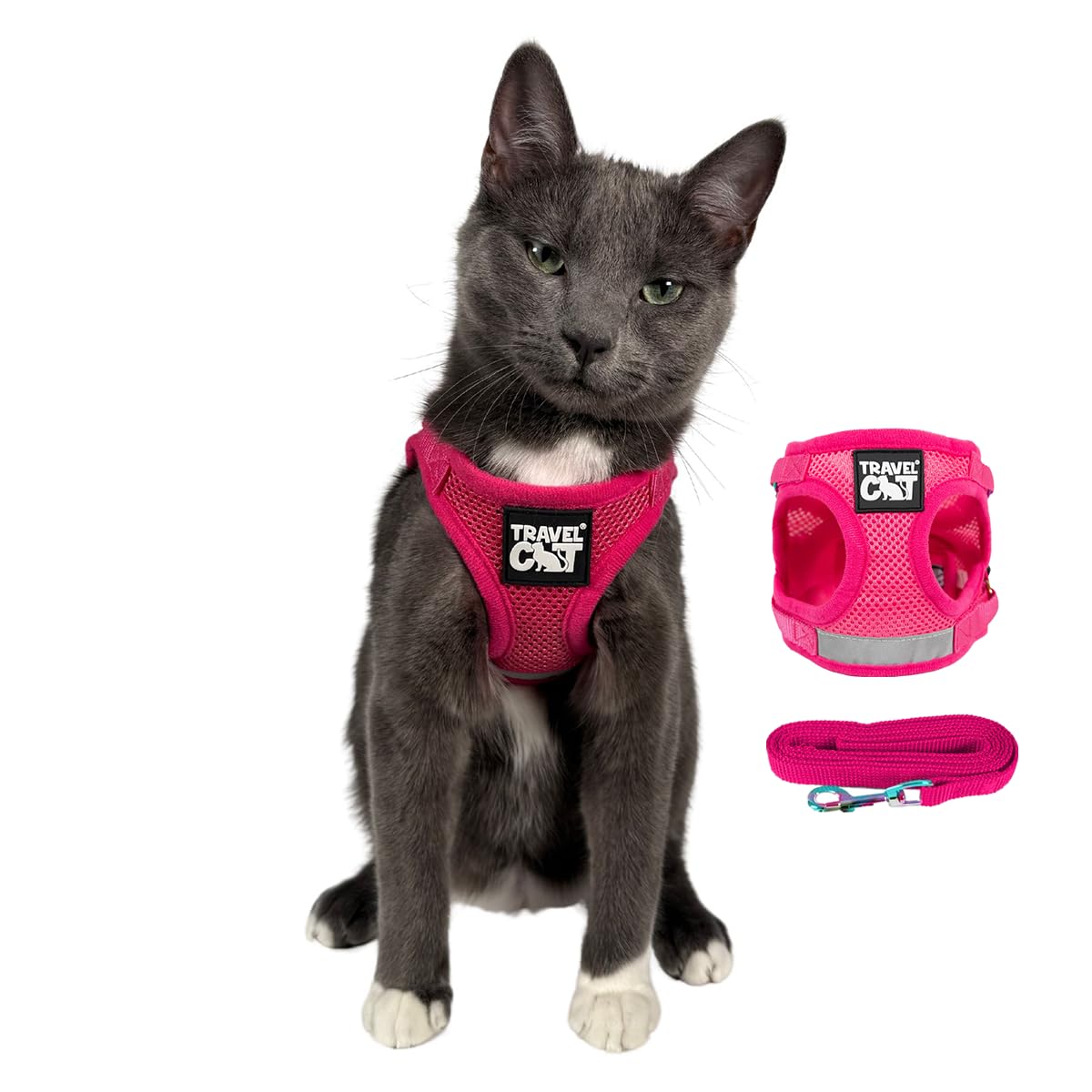 Harnais The Fat Cat Travel pour chat, confort durable en extérieur.