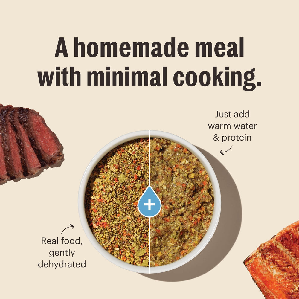 The Honest Kitchen Base Mix servi dans bol, repas pratique et convivial.