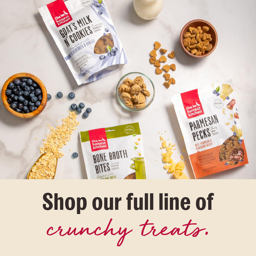 The Honest Kitchen – Biscuit croquant et cuisson lente, expérience fondante