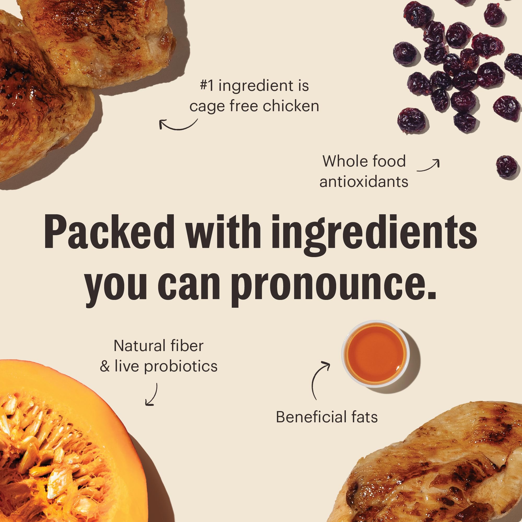 The Honest Kitchen Clusters poulet sans céréales – goût riche et nutrition adaptée.