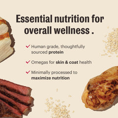The Honest Kitchen Essential Clusters chien adulte toutes tailles, alimentation adaptée.